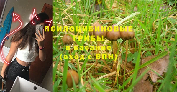 кристаллы Белокуриха