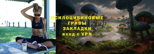 spice Беломорск