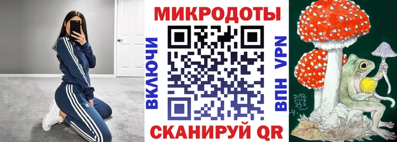 Псилоцибиновые грибы Psilocybe  kraken как войти  Буинск 